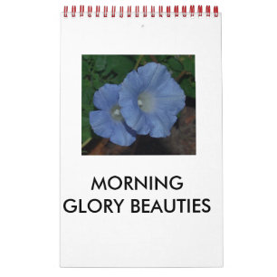 CALENDRIER BEAUTÉS GLOBALES DU MATIN