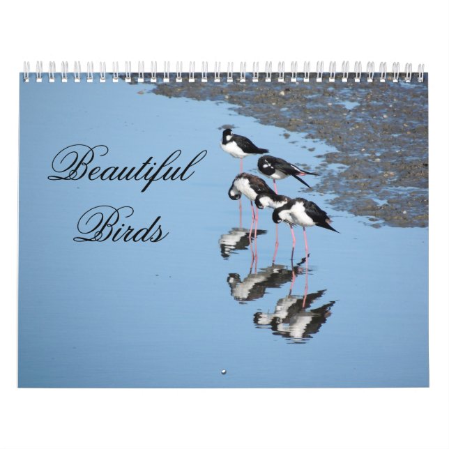Calendrier Beautiful Birds Calendar (Protection)