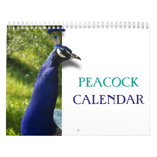 Calendrier Beautiful Peacock 2023 (Protection)