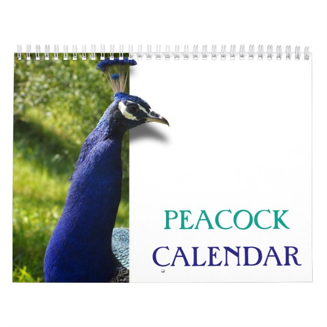 Calendrier Beautiful Peacock 2025 (Protection)