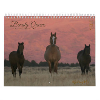 Calendrier "Beauty Queens" MustangWild 2026 