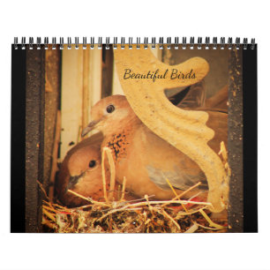 Calendrier Beaux Oiseaux