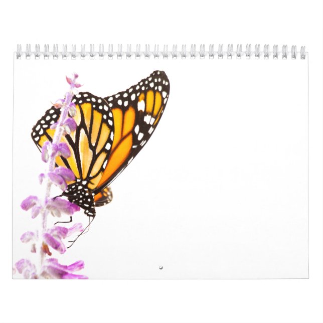 Calendrier Beaux papillons (Protection)