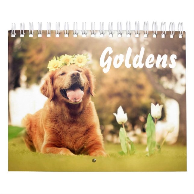 Calendrier Beaux trésors d'or (Protection)
