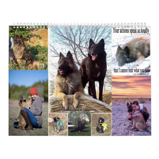 Calendrier belge de Tervuren de berger (Protection)