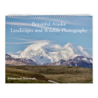 Belle Alaska Paysage & Faune Photographie