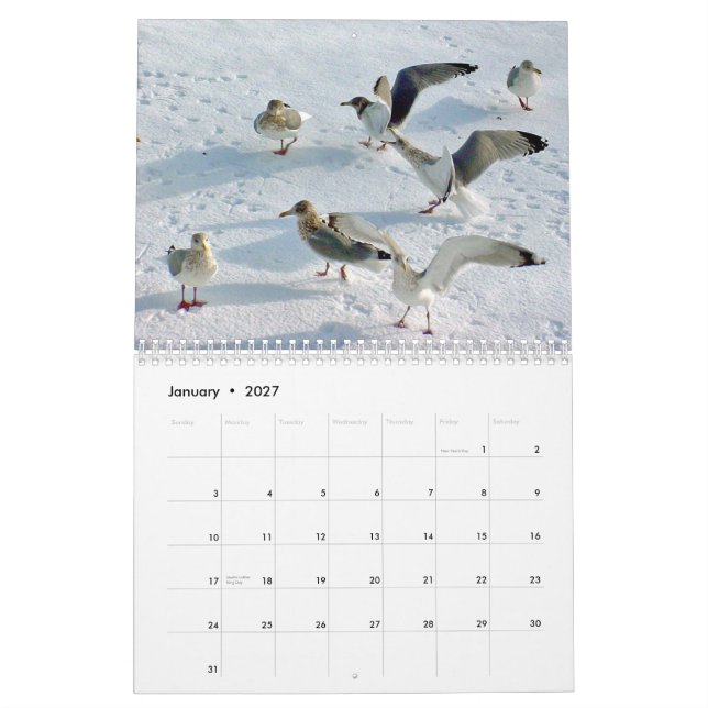 Calendrier Belle côte du Maine (Jan 2027)