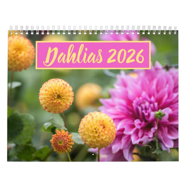 Calendrier Belle Dahlias Floral Photographie (Protection)