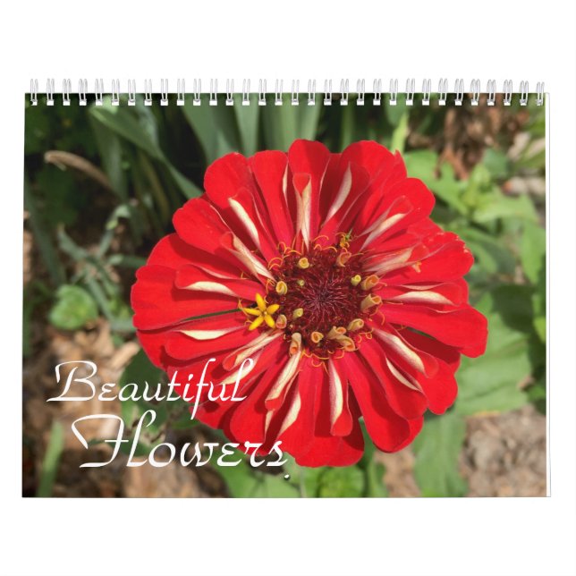 Calendrier Belle Fleurs Photographie (Protection)