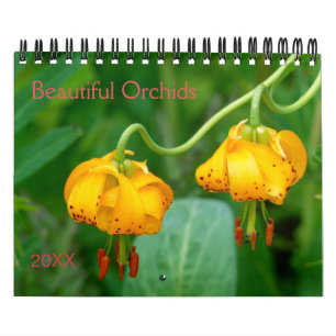 Calendrier Belle Orchidées Nature Photographie