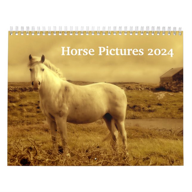 Calendrier Belles images de chevaux 2024 (Protection)