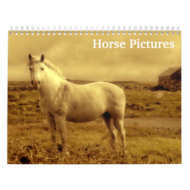 Calendrier Belles images de chevaux 2025 (Protection)