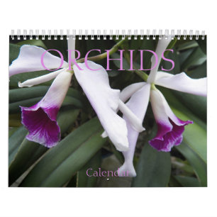 Calendrier Belles Orchidées Floral Photographie