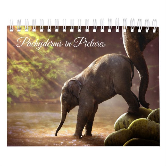 Calendrier Belles photographies d'éléphant (Protection)