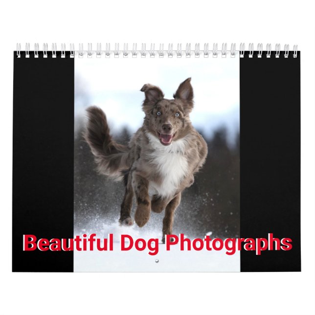 Calendrier Belles photos de chiens (Protection)