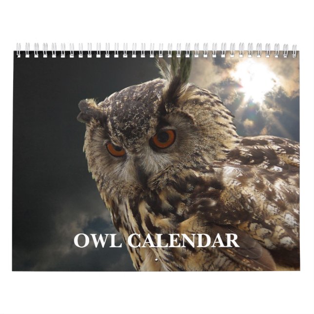 Calendrier Belles photos et images de hibou 2025 (Protection)