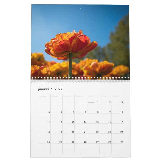 Calendrier Belles tulipes néerlandaises (Jan 2027)