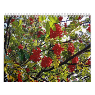 Calendrier Berries