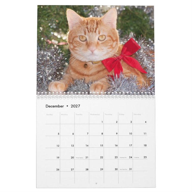 Calendrier Best Cats (Dec 2027)