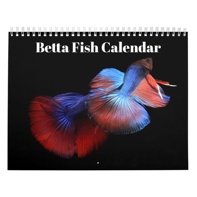 Calendrier Bettafish 2027 (Protection)