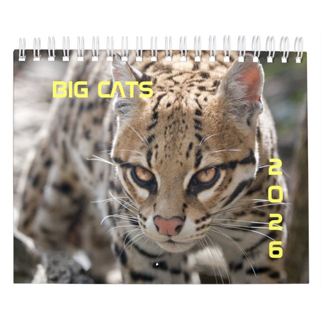 Calendrier Big Cats (Protection)