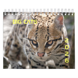 Calendrier Big Cats