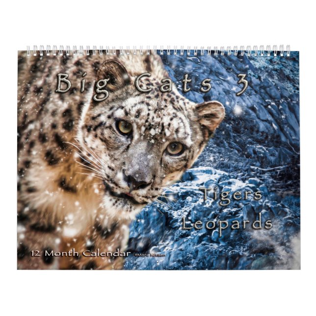 Calendrier Big Cats Art #3 Calendar (Protection)
