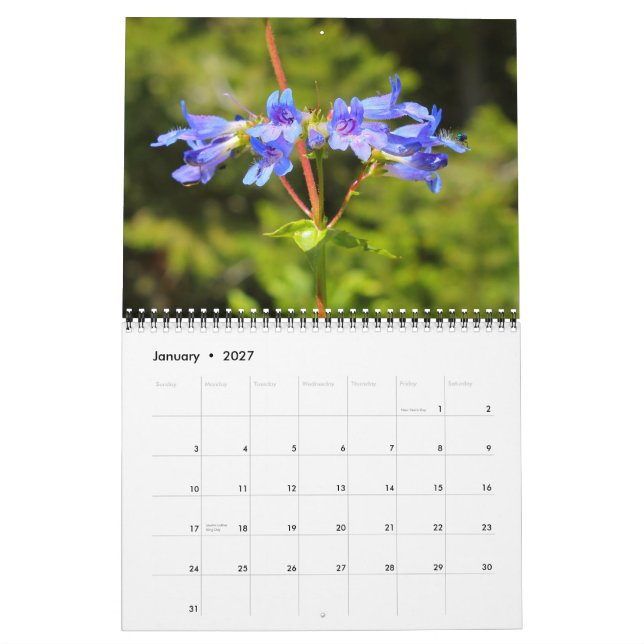 Calendrier Big Sky Country Fleurs sauvages 2012 (Jan 2027)