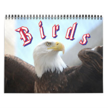 Bird Calendar