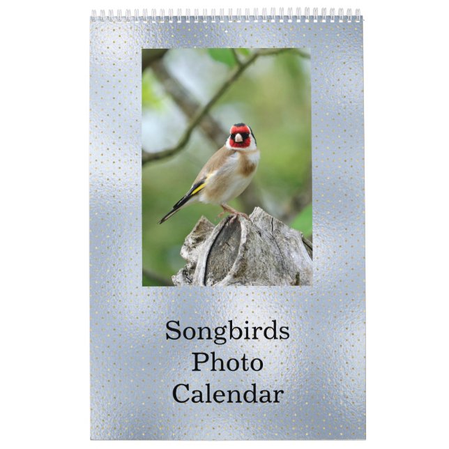 Calendrier Birds Blue Photo personnalisable (Protection)
