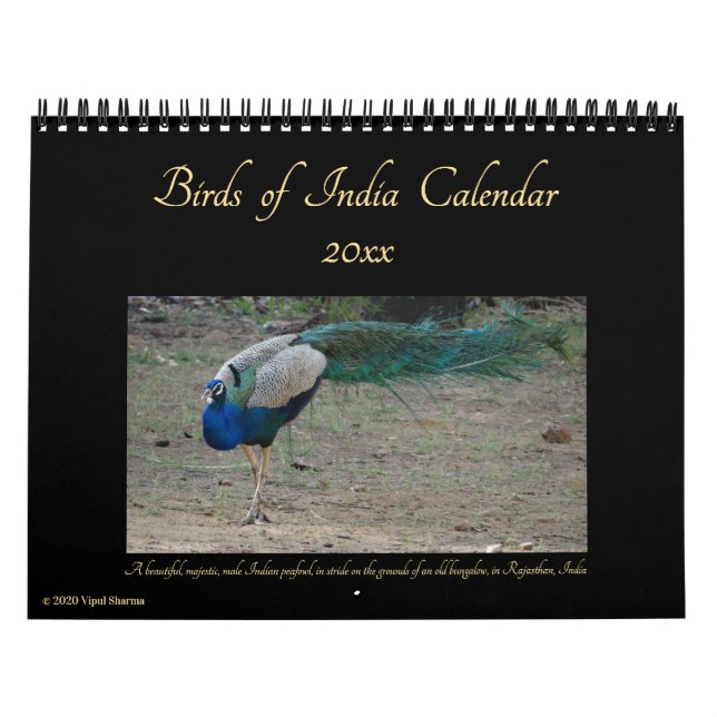 Calendrier Birds of India Nature Wildlife Photography 2025-26 (Protection)