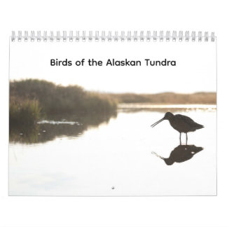Calendrier Birds of the Alaskan Tundra Calendar
