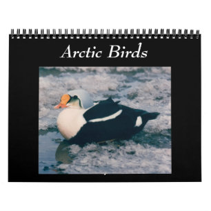 Calendrier Birds Of The Arctic Photo Calendar Alaska
