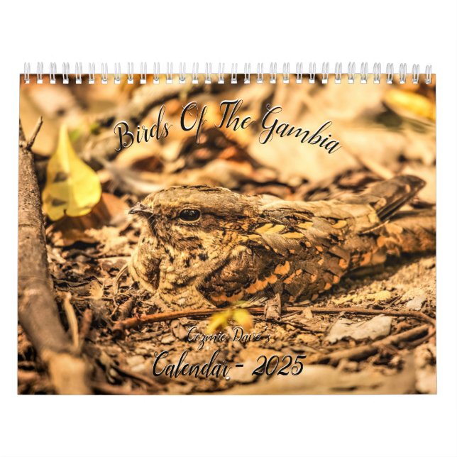 Calendrier Birds of the Gambia Calendar (Protection)