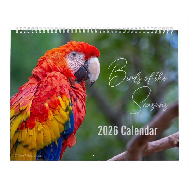 Calendrier Birds of the Seasons 12 Month Nature Calendar (Protection)