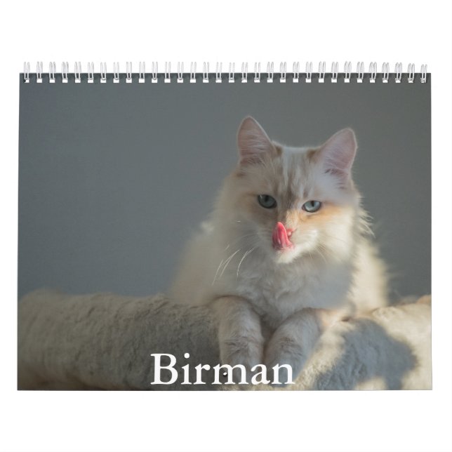 Calendrier Birman (Protection)
