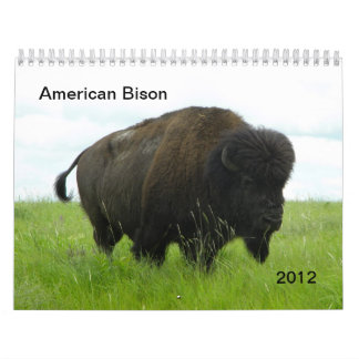 Calendrier Bison américain