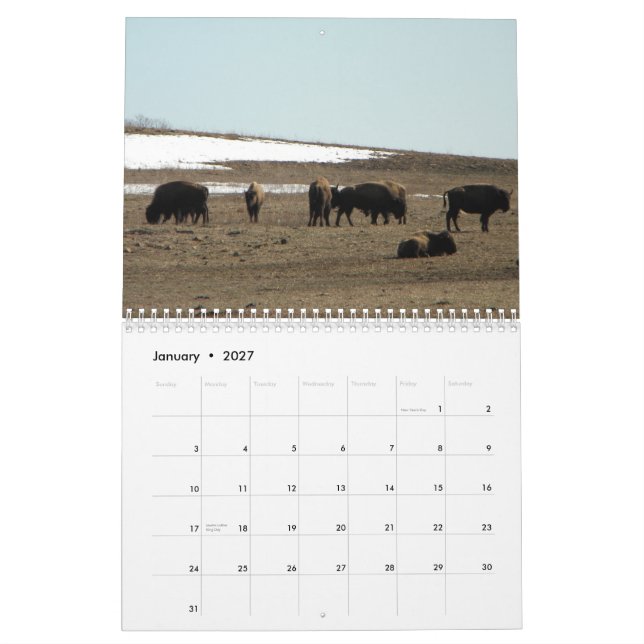 Calendrier Bison américain (Jan 2027)