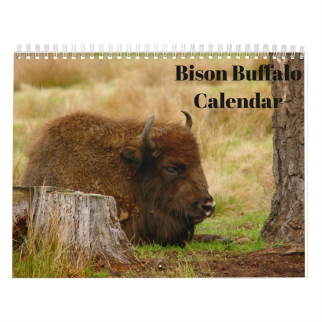 Calendrier Bison Buffalo 2026 (Protection)