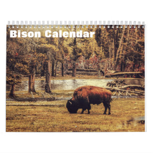 Calendrier Bison Buffalo 2027