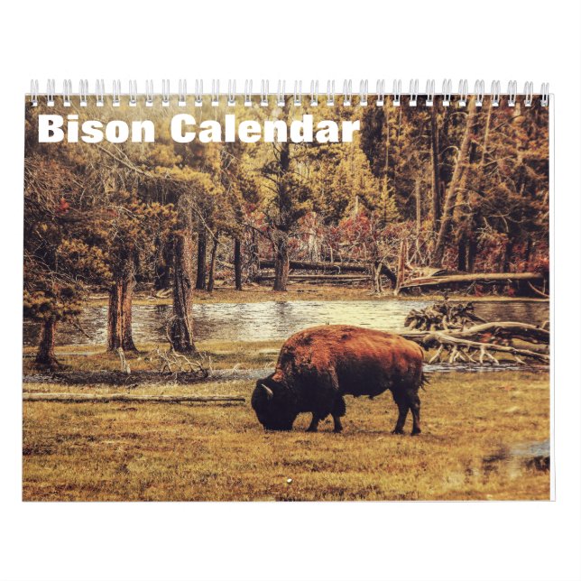 Calendrier Bison Buffalo 2027 (Protection)