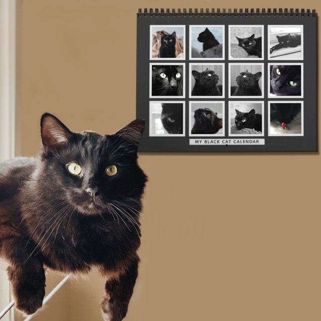 Calendrier Black Cat Retro Image Frame Animaux de compagnie C (We all take pictures of our cats. (I have hundreds lol) Add your favorites to this cat calendar)