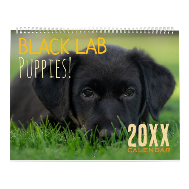 Calendrier Black Lab Puppies Calendar Puppy Dog Labrador (Protection)