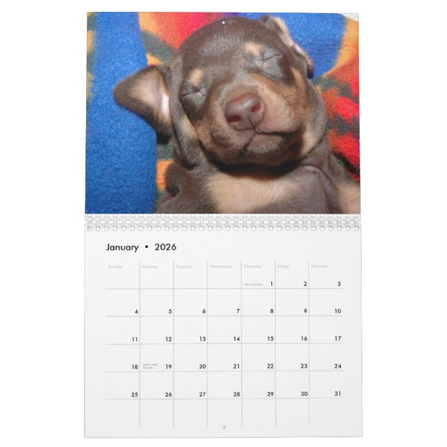 Calendrier blanc de dobermann (Jan 2026)