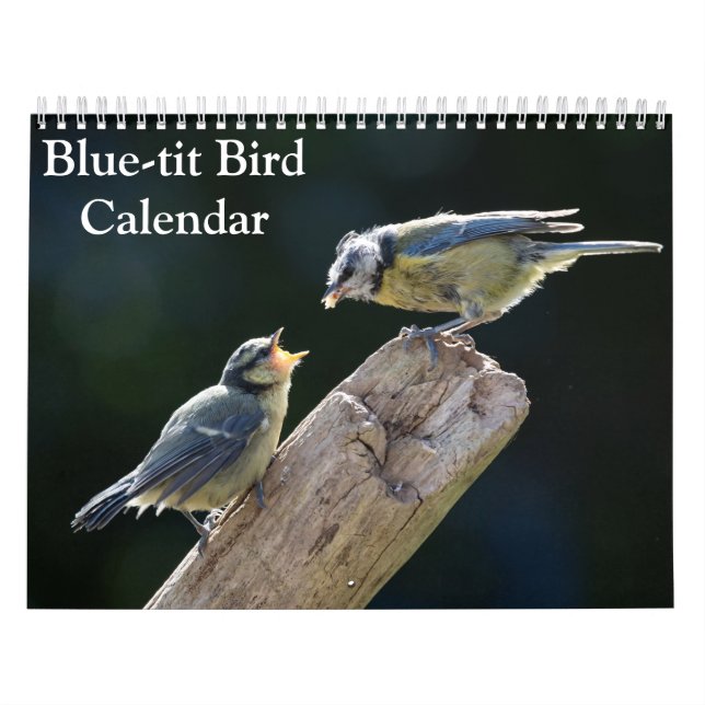 Calendrier Blue-Tit Bird 2026 (Protection)