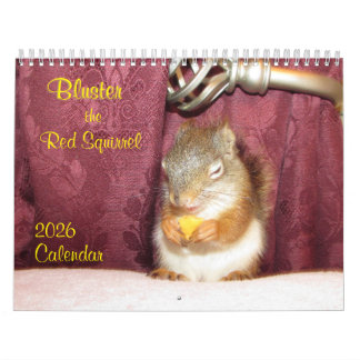 Calendrier Bluster the Red Squirrel 2026 Calendar