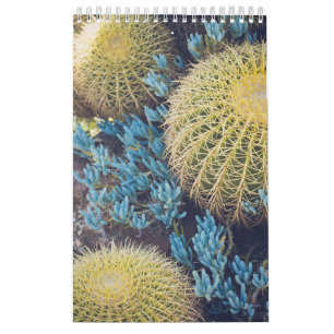 Calendrier Boho Cactus Garden
