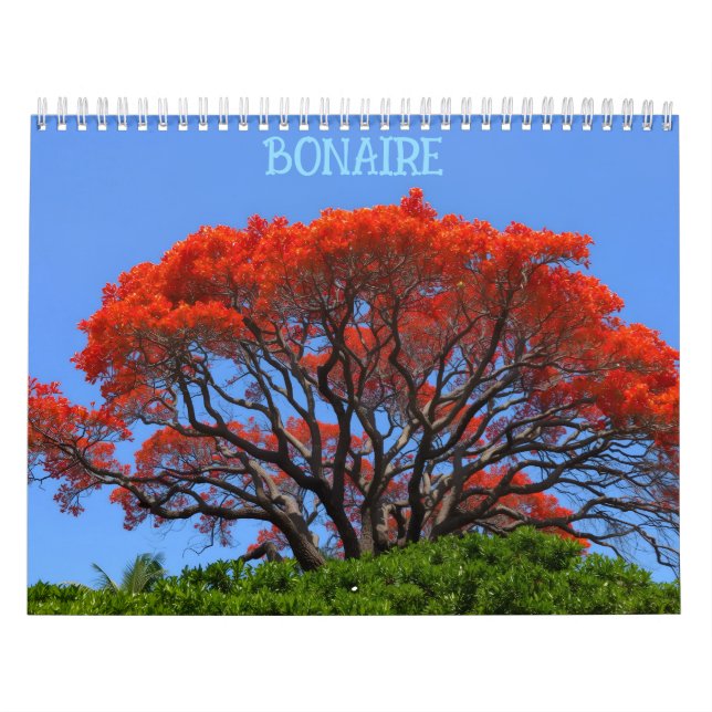 Calendrier Bonaire bon bini (Protection)