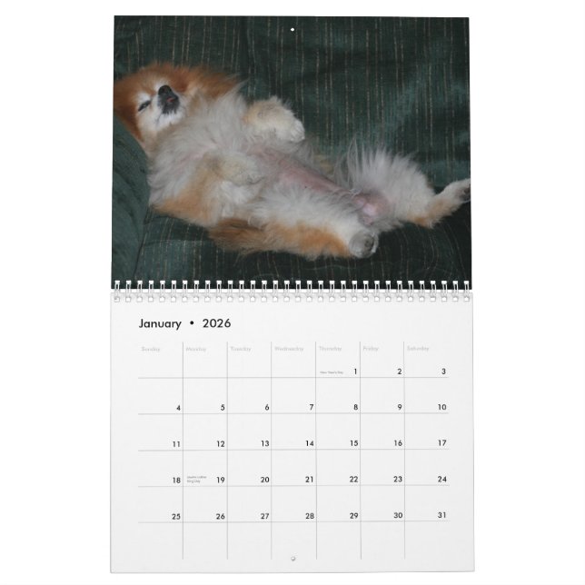 CALENDRIER BONBON POMERANIAN DE REINE (Jan 2026)