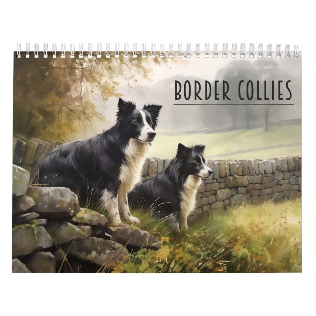 Calendrier Border Collies, n'importe quelle année (Protection)